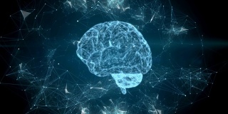 人类大脑转动的动画。神经丛。科学、医学和商业的概念