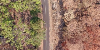高角度空中鸟眼无人机拍摄到澳大利亚新南威尔士州悉尼附近的一条乡村道路，这条道路穿过部分被烧毁的森林，这是2019年底毁灭性的森林火灾季节造成的。