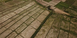 农业拖拉机犁田农业稻田梯田小麦田在夏季旱季，鸟瞰图