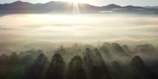清晨鸟瞰图有雾