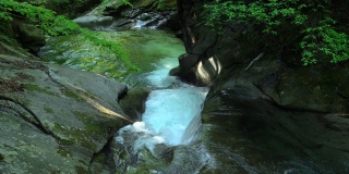 西泽谷绿色森林中的瀑布