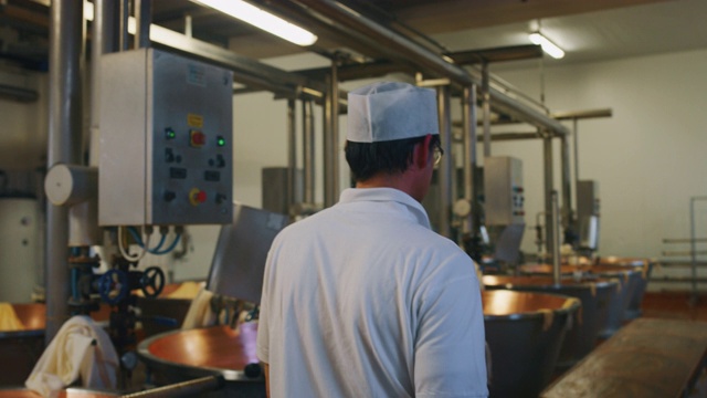 慢镜头的奶酪制作者正在监督帕尔马干酪的生产，使用新鲜的生物牛奶，遵循古老的意大利乳品工厂的传统