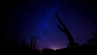 银河系之夜TL在索诺兰沙漠仙人掌后面视频素材模板下载