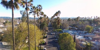洛杉矶棕榈树街鸟瞰图