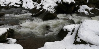 森林里的雪融化了