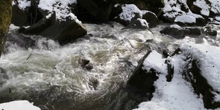 森林里的雪融化了