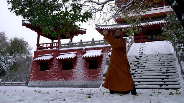 中国少林寺功夫武僧