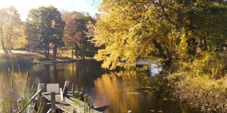 秋天的新英格兰池塘和码头