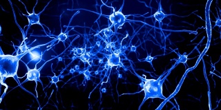 大脑内部神经元