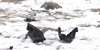 汽车零件散落在事故现场。在冬天下雪的路上发生车祸