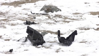 汽车零件散落在事故现场。在冬天下雪的路上发生车祸视频素材模板下载