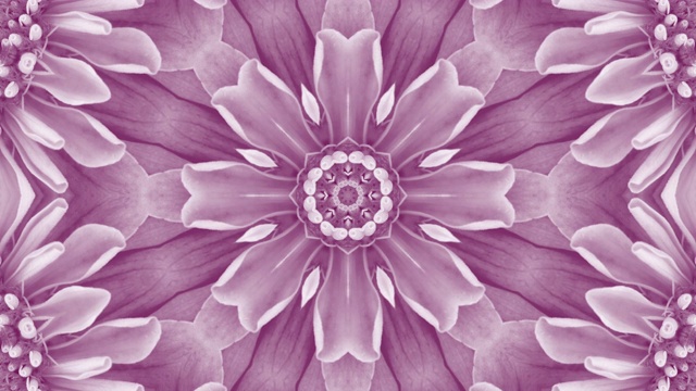紫色花曼荼罗背景与复制空间