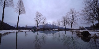 山梨县藤川口子附近的富士山，冬天有干树和雪。五湖,日本。自然环境背景
