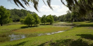 美丽的公园在河口与草木