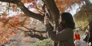 一位亚洲妇女正站在公园里用手机拍全景照。
