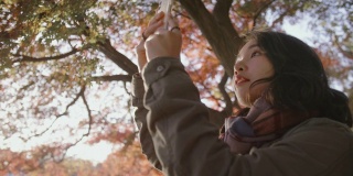 年轻的亚洲女子在公园用智能手机拍摄美丽的散景照。