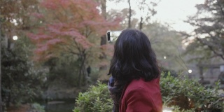 一名身穿红衬衫的亚洲女子在东京的一个公园用智能手机拍摄秋叶。