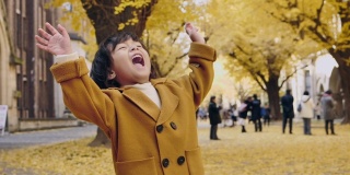 快乐的男孩和秋天的树叶在公园玩得很开心