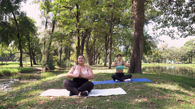 正面:健康年轻的大身材女性和朋友在户外公园练瑜伽