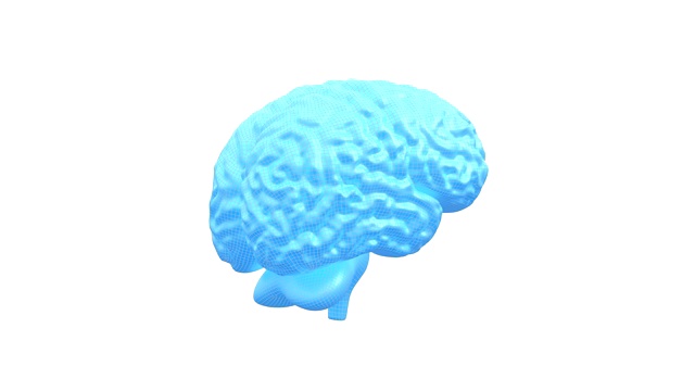 人脑3D，无缝循环