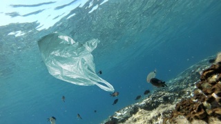 漂浮在海鱼附近的塑料袋视频素材模板下载