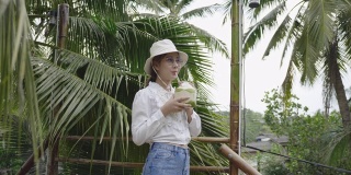 热带度假椰子汁