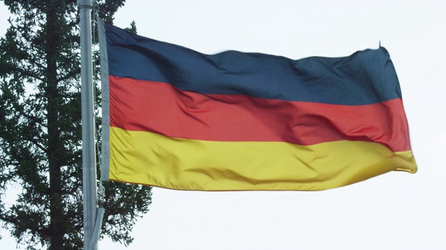 慢动作拍摄的德国国旗在风吹松树在一个阳光明媚的日子