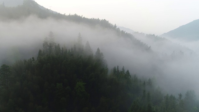 空中拍摄的雾在森林山坡桂林，中国