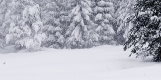 POV，在一个白雪皑皑的冬天里拍视频。