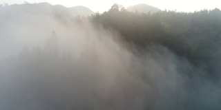 空中拍摄的雾在森林山坡桂林，中国