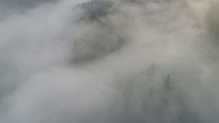 空中拍摄的雾在森林山坡桂林，中国视频素材模板下载