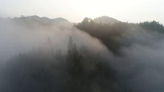 空中拍摄的雾在森林山坡桂林，中国视频素材模板下载