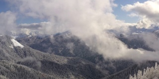 令人惊叹的向后视图雪冷杉树在低空多云的天空背景。光荣的冬天森林在雾霾在山谷无人机的观点。空中景观冬季林地雪地高地