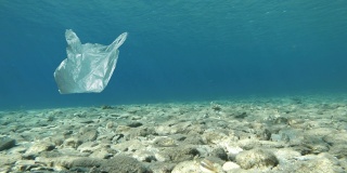 漂浮在海上的塑料袋