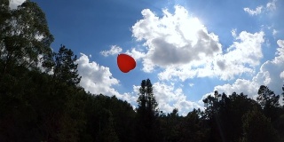 心形的红色气球，在春天的花园里飘向天空。爱情象征着情人节。爱的自由观念。