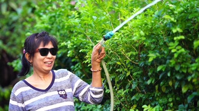 亚洲高级妇女淋浴植物在花园里