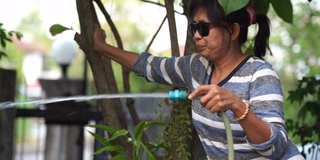 亚洲高级妇女淋浴植物在花园里