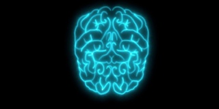 2D动画，闪烁的蓝色霓虹灯形成了人类大脑的结构。在黑色背景上显示神经网络的燃烧线。智能的概念，内脏，医学，解剖学。