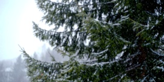 极端天气condition-snowstorm