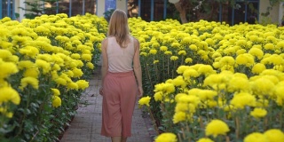 一名年轻女子走在东亚人为庆祝农历新年种植的大量黄花中。亚洲之旅概念