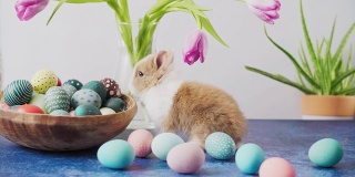 可爱的复活节兔子和五颜六色的鸡蛋和郁金香在桌子上。复活节装饰。