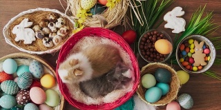 篮子里装着复活节兔子，木桌上放着五颜六色的彩蛋。复活节装饰。