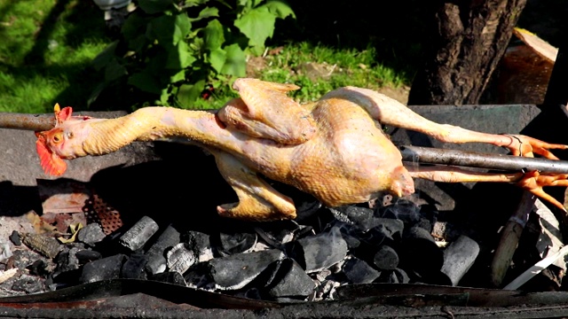 整只鸡在炭炉上烤制