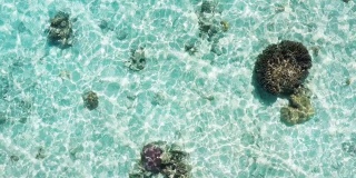 马尔代夫珊瑚礁的航拍镜头
