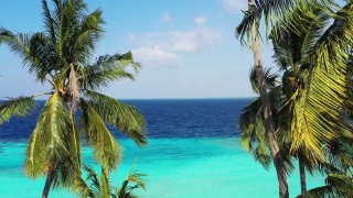 马尔代夫岛鸟瞰图视频素材模板下载