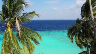 马尔代夫岛鸟瞰图视频素材模板下载