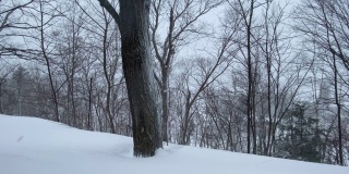 移动高分辨率4k视频的一个冬天的一天降雪。