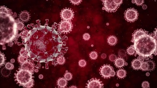 冠状病毒COVID - 19新型冠状病毒与人体内的红细胞视频素材模板下载