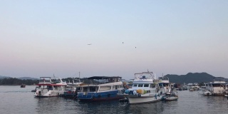 海鸥飞过香港西贡的船只和游艇