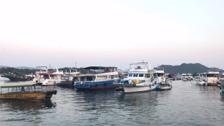 路过香港西贡海滨的黄色小船视频素材模板下载